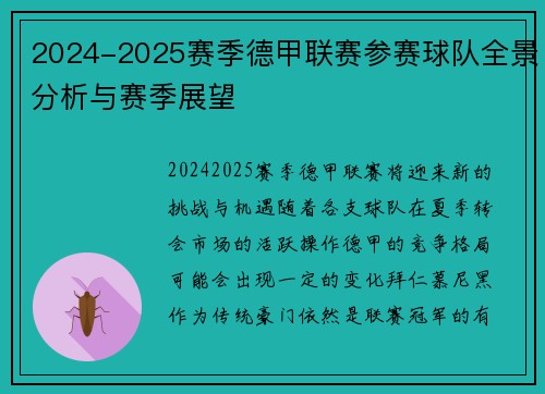 2024-2025赛季德甲联赛参赛球队全景分析与赛季展望