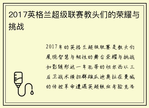 2017英格兰超级联赛教头们的荣耀与挑战